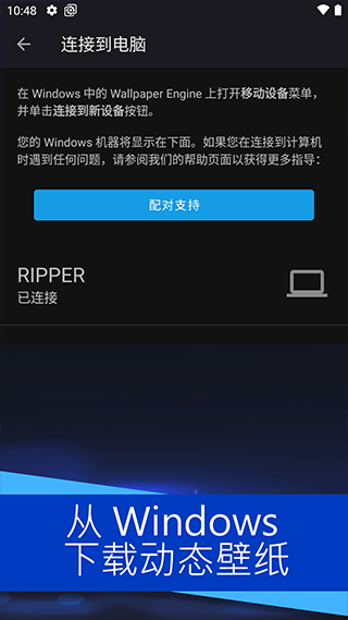 WALLPAPER麻匪壁纸透视