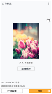 佳能打印机app