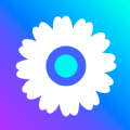混沌小工菊 1.0.0