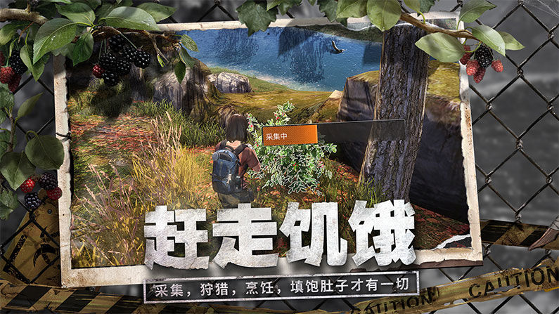 zoz最后一小时