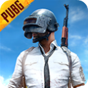 pubg mobile国服