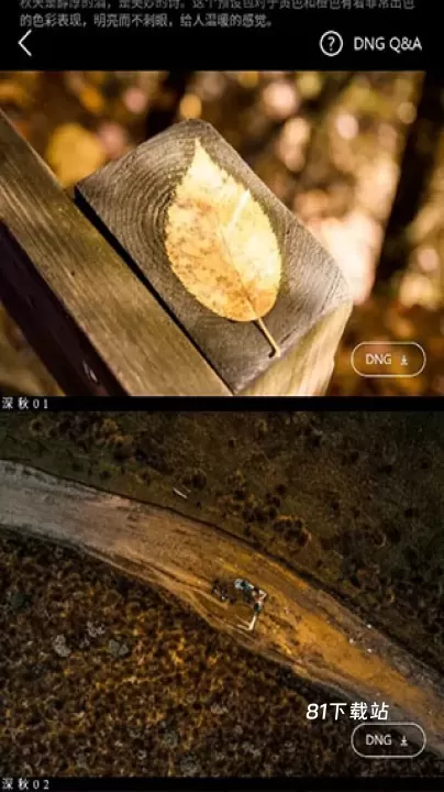 Koloro滤镜大师调色_https://www.81xiazai.com_摄影图像_第3张