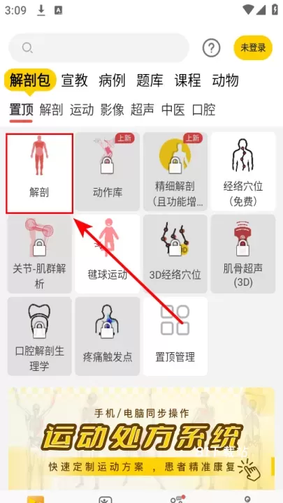 3Dbody_https://www.81xiazai.com_学习办公_第1张