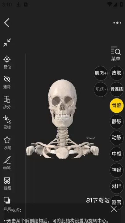 3Dbody_https://www.81xiazai.com_学习办公_第3张