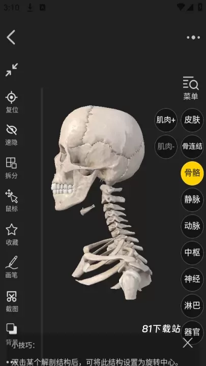 3Dbody_https://www.81xiazai.com_学习办公_第4张
