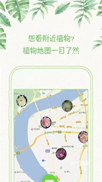 形色_https://www.81xiazai.com_摄影图像_第1张