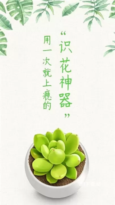 形色_https://www.81xiazai.com_摄影图像_第3张