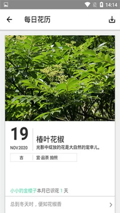 形色_https://www.81xiazai.com_摄影图像_第4张