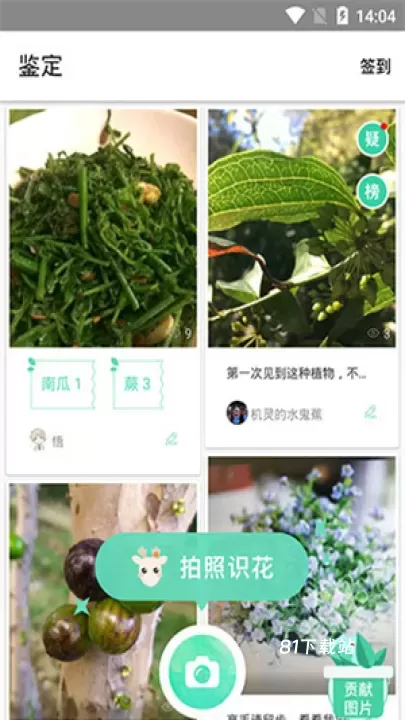 形色_https://www.81xiazai.com_摄影图像_第5张